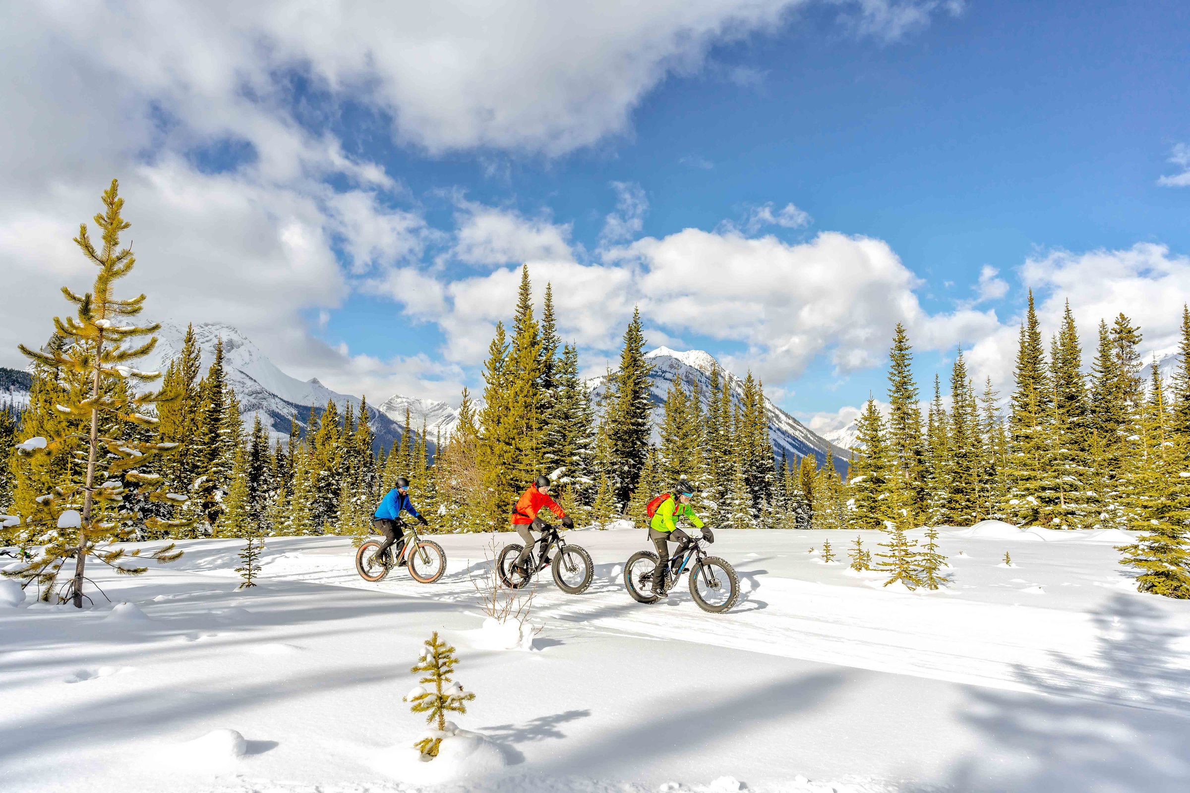 A group of fatbikers on trail beside a forest in Kananaskis Country