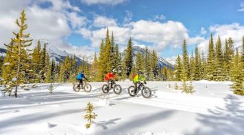 A group of fatbikers on trail beside a forest in Kananaskis Country