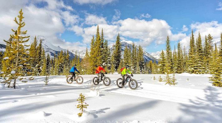 A group of fatbikers on trail beside a forest in Kananaskis Country