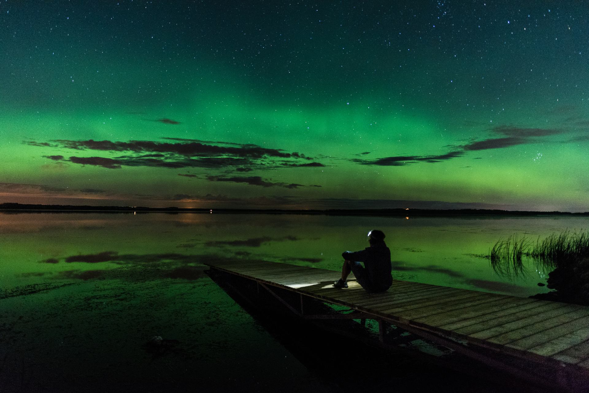 Person sat looking up at the Northern lights in Grande Prairie
