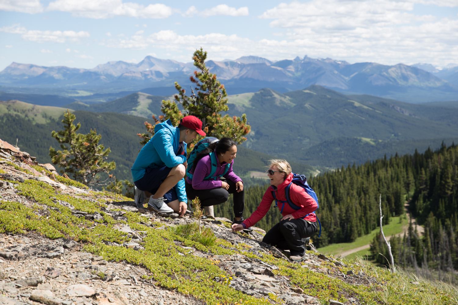 People on a guided hike in Castle Provincial Park with Heather Davis from Uplift Adventures.