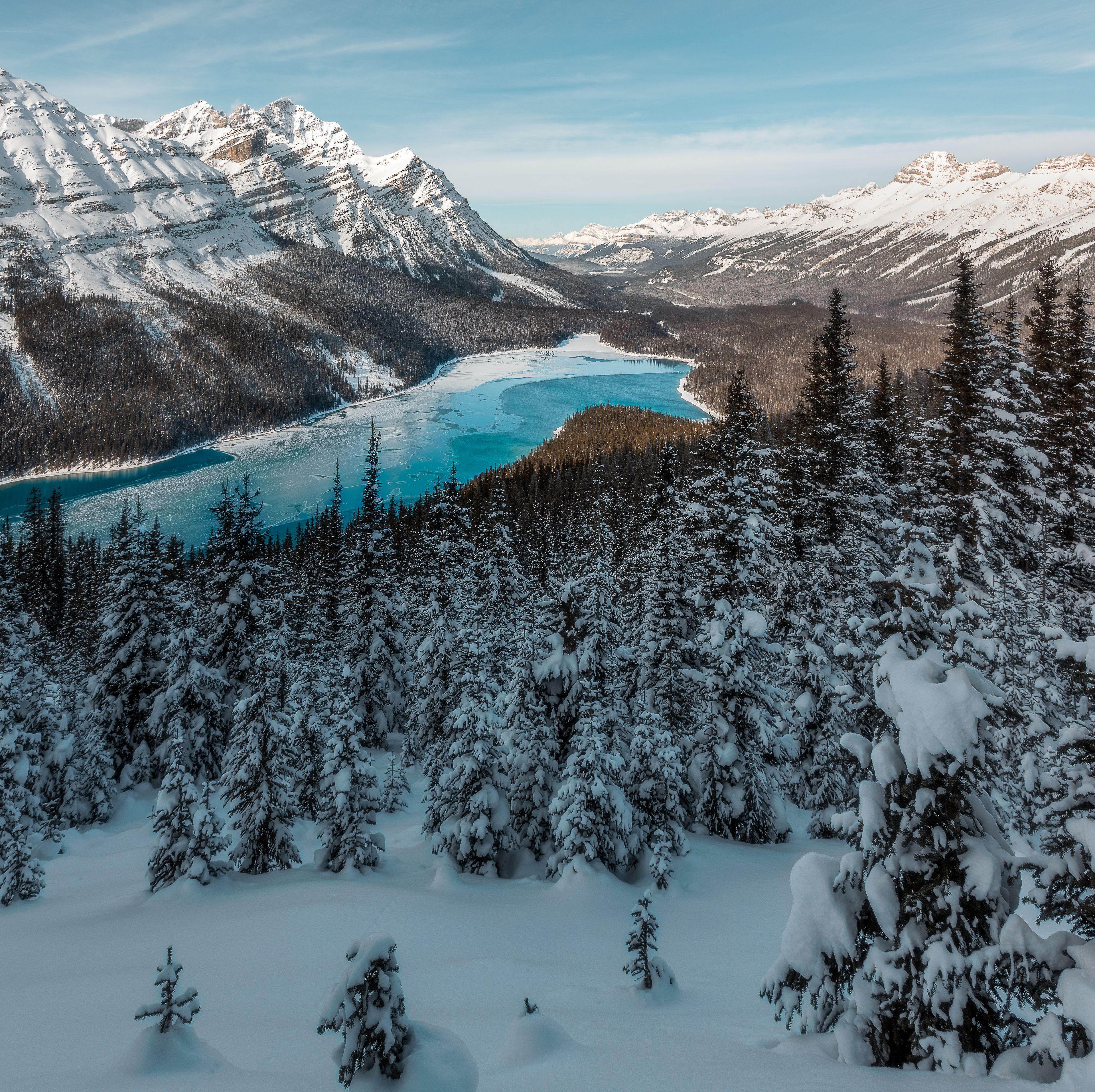Aerial image of the winter landscape from Peyto Lake lookout.