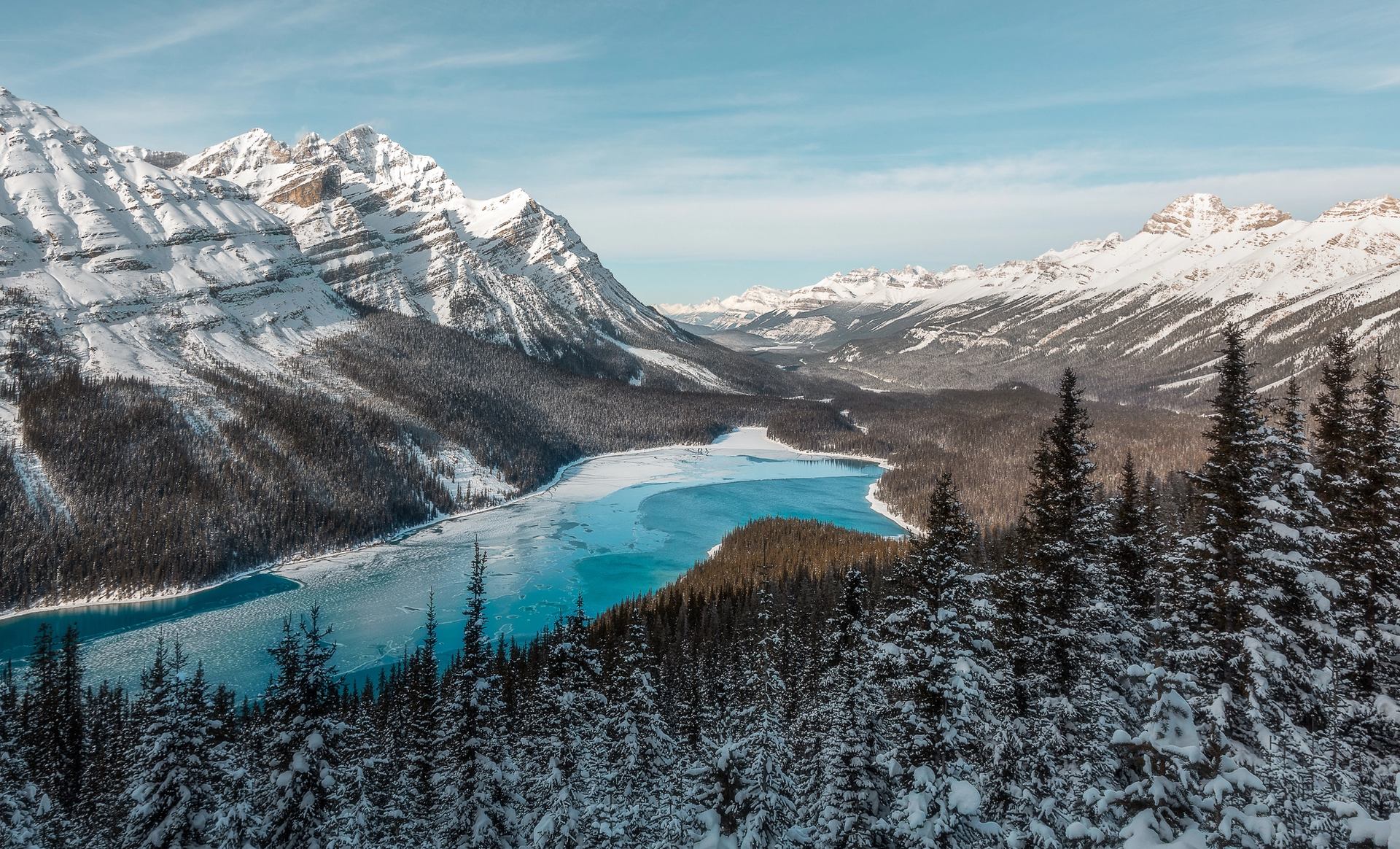 Aerial image of the winter landscape from Peyto Lake lookout.