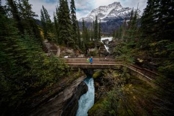 Couple crossing bridge over Athabasca Falls.
