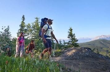 A family hikes past wildflowers in the mountains near Hinton, Alberta.