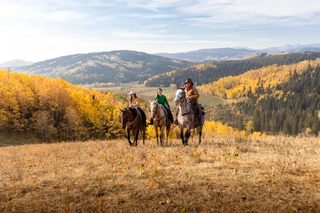 Gilberta Country About Alberta | Canada's Alberta