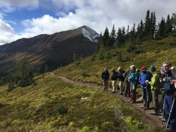 A group of seniors on a guided walking tour through a meadow in the mountains.