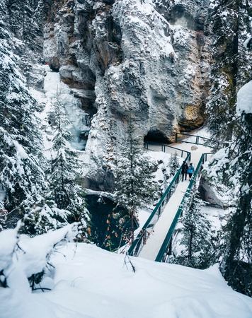 Hikers on the trail to Johnston Canyon