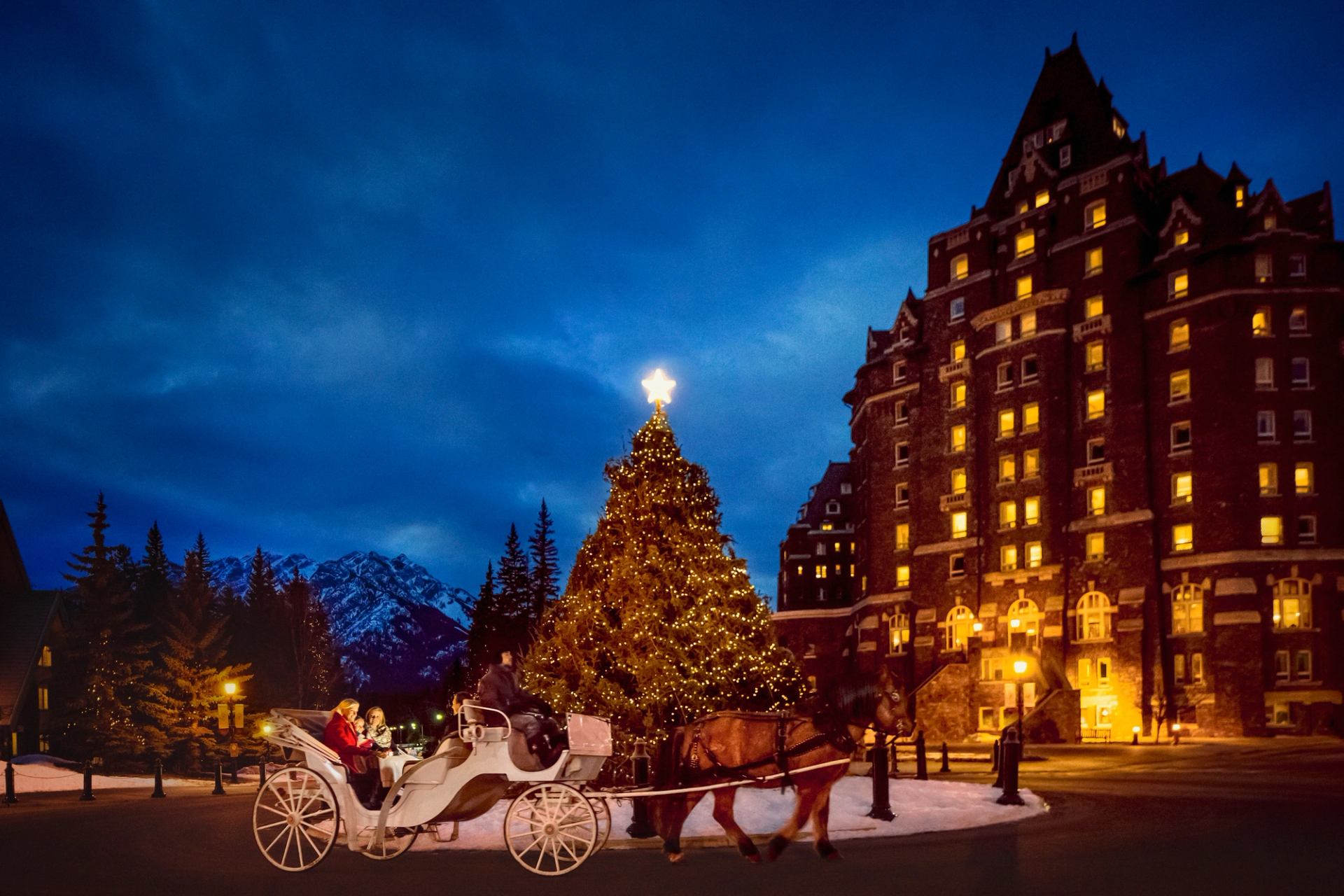 horse drawn carriage around a christmas tree