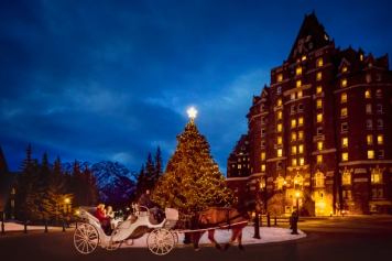 Family riding in a horse-drawn carriage around a Christmas tree outside the Fairmont Banff Springs Hotel at night.