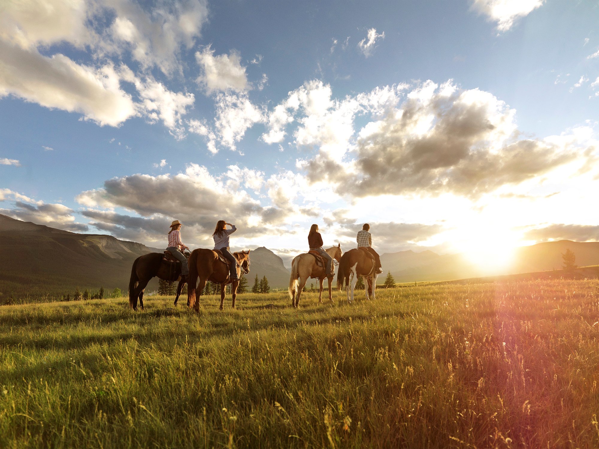 Four people on horseback stop in a field to take in the sunset while horseback riding in Sundre.