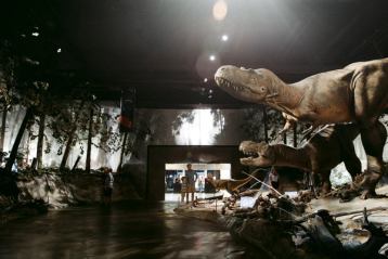 People look at a dinosaur display in a museum