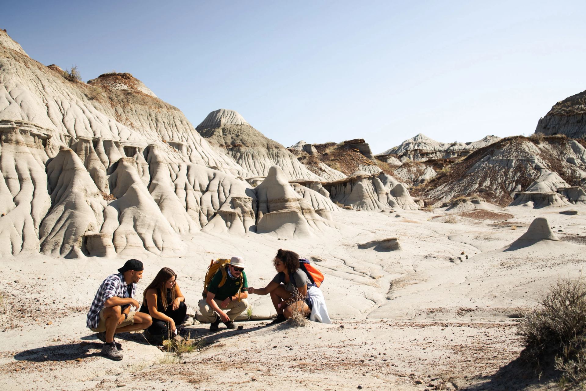 Group on a interpretive tour at Dinosaur Provincial Park.