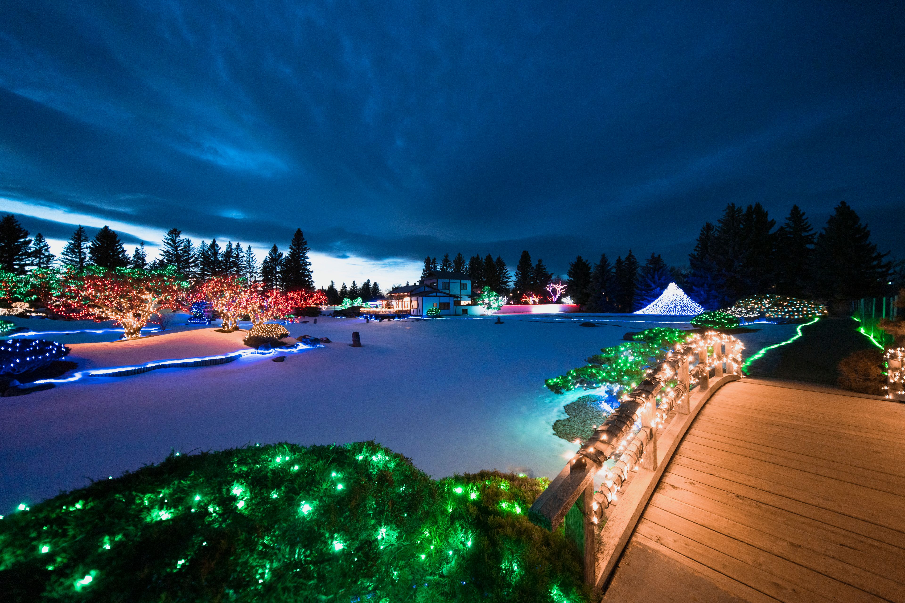 Nikka Yuko Japanese Garden in Lethbridge, lit up on a winter's night