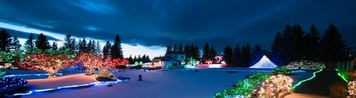 Nikka Yuko Japanese Garden in Lethbridge, lit up on a winter's night
