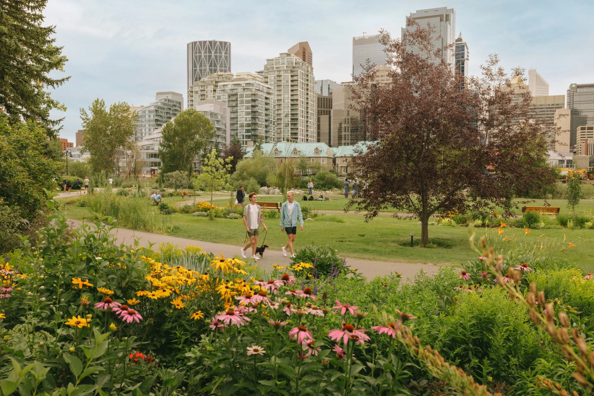 Two men walk a dog down path with downtown buildings in the background.