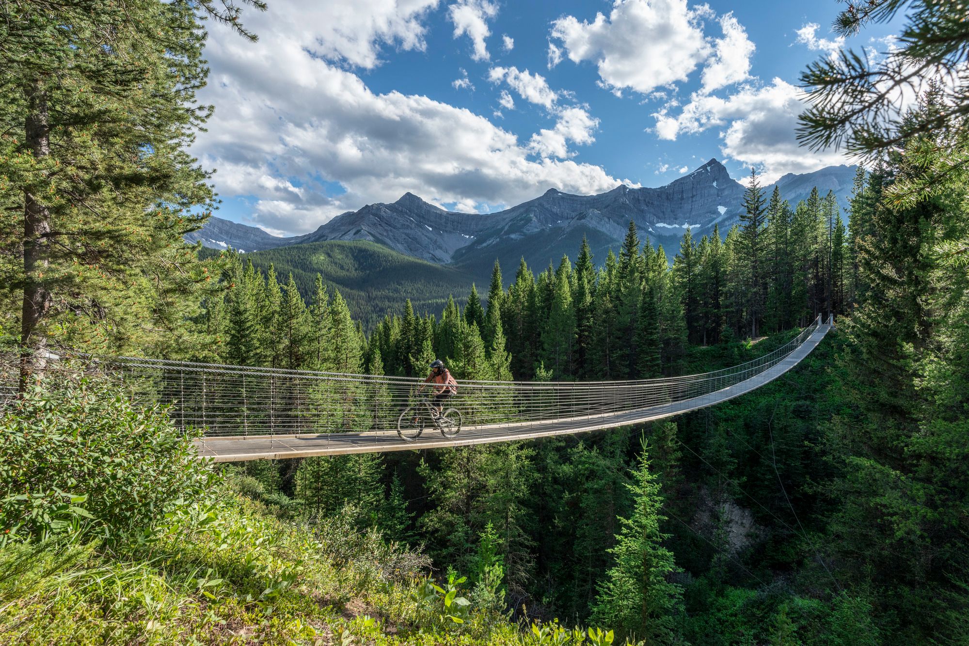 A cyclist bikes across the Blackshale Suspension Bridge with evergreen forests all around and mountains in the near distance.
