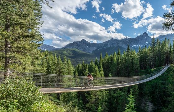 A cyclist bikes across the Blackshale Suspension Bridge with evergreen forests all around and mountains in the near distance.