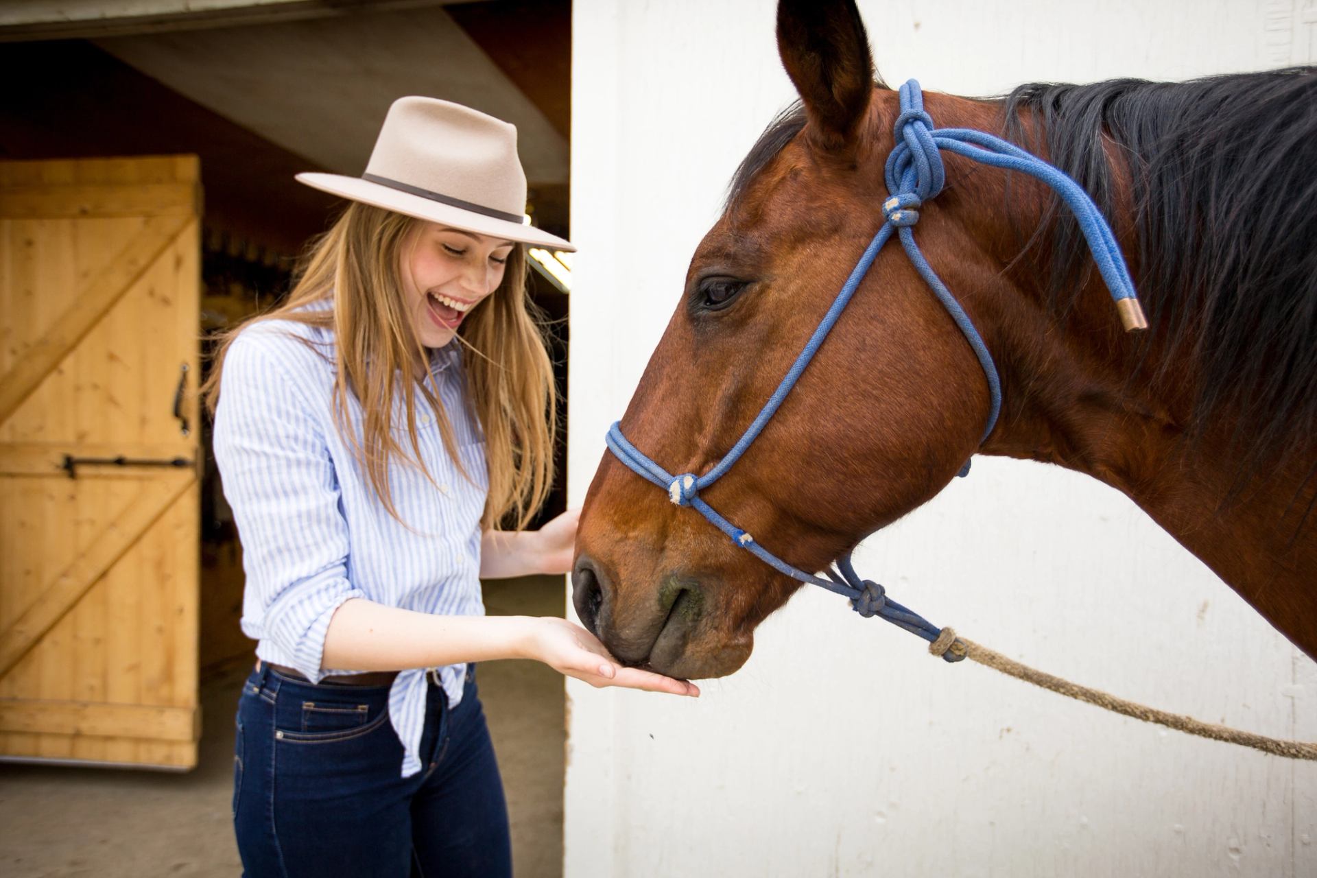 Woman feeding a horse