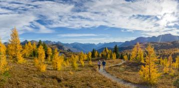 Man and woman jogging through gold larches with a mountain backdrop.