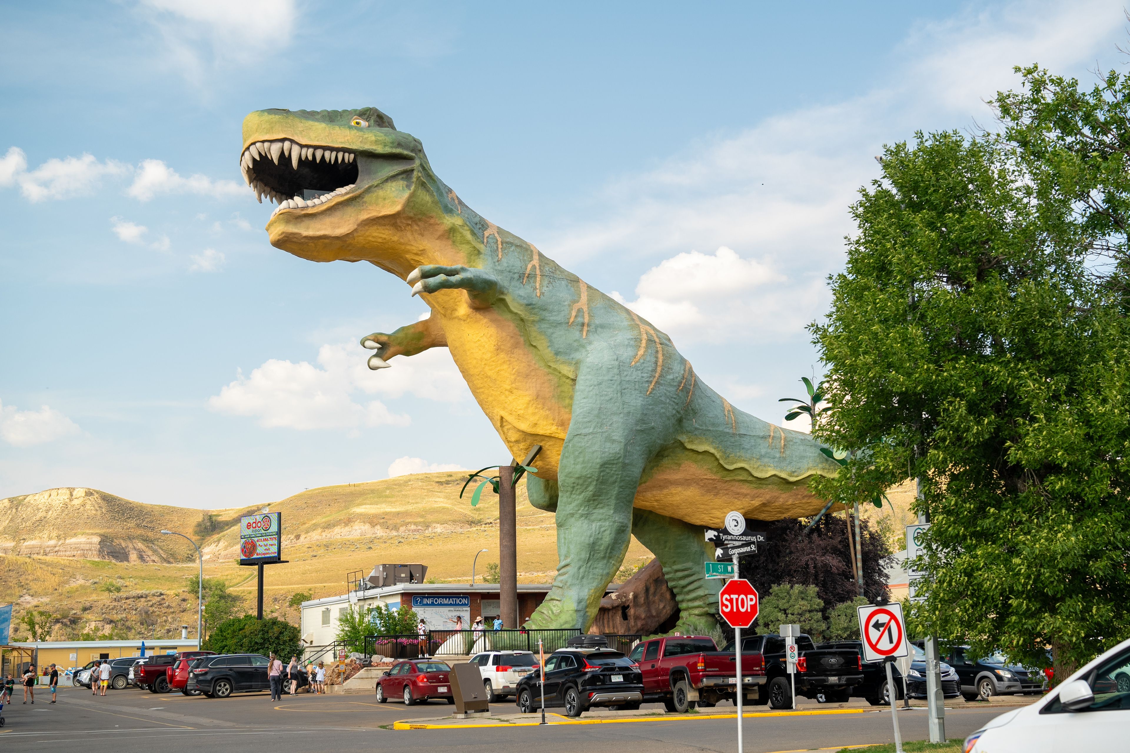 The Worlds Largest Dinosaur as seen from the street below