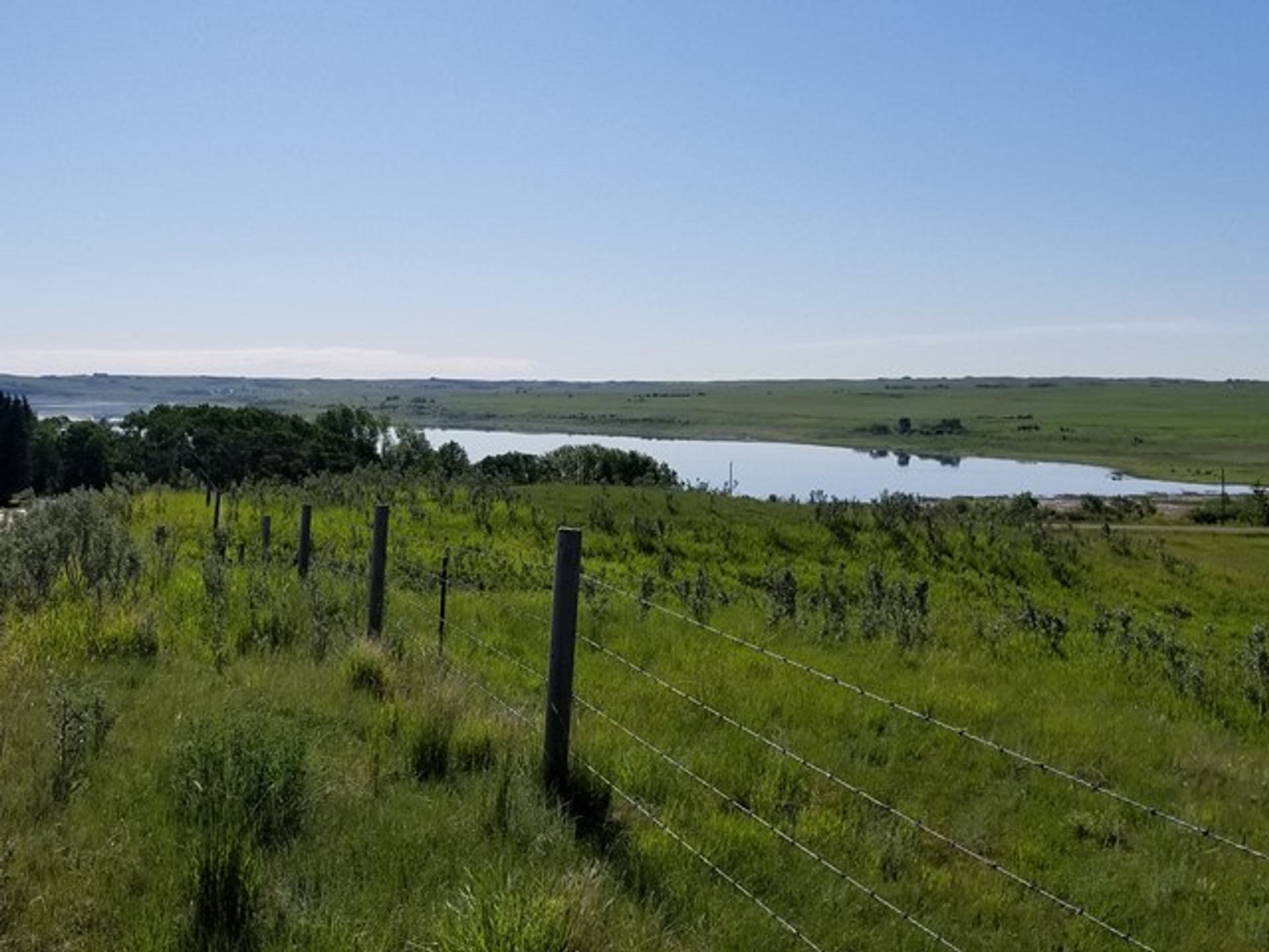 Beautiful view of Gooseberry Lake