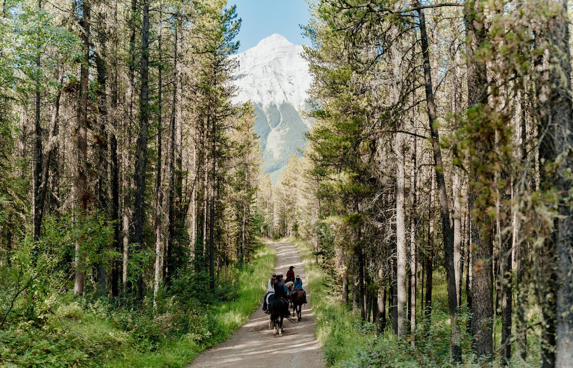 horseback trail ride kananaskis country