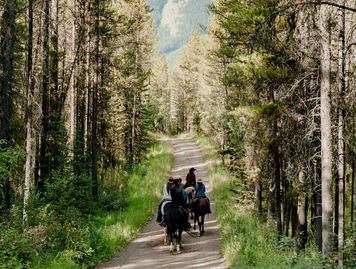 horseback trail ride kananaskis country