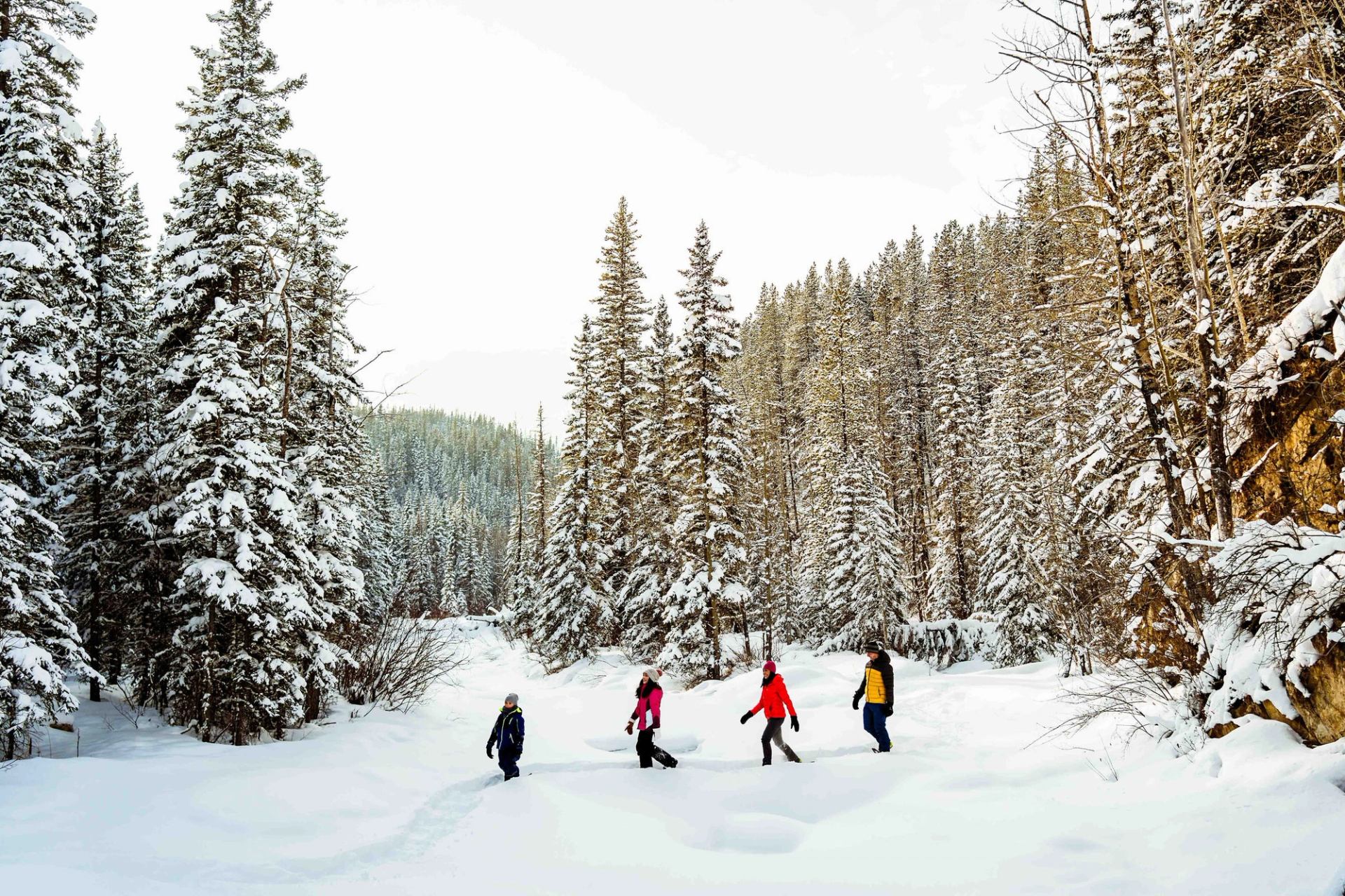 Family Snowshoeing in the Kananaskis