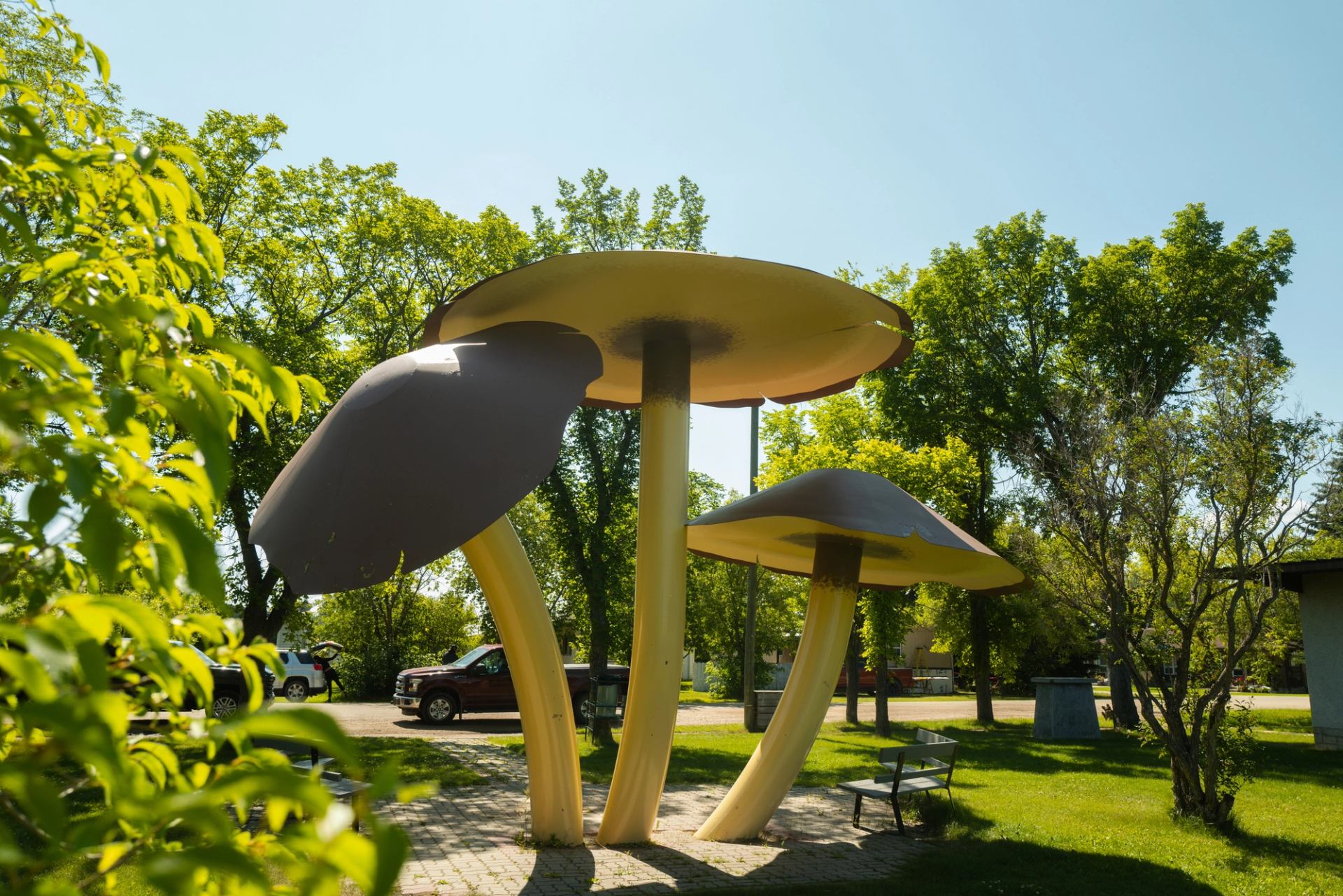 World's Largest Mushrooms in the town of Vilna