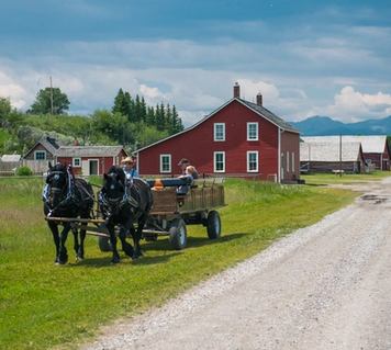 Horse-drawn wagon near a red barn pulling passengers down the side of a gravel road.