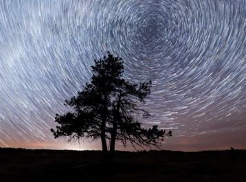 A warp formation of stars in the nights sky above a single tree.