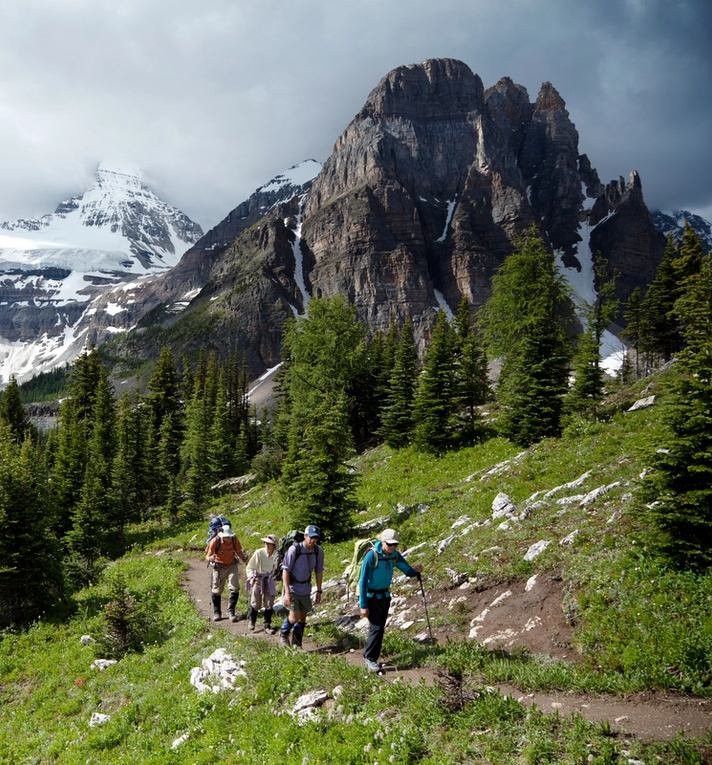 A group of adult hikers walking along a trail in a forest clearing with mountains and a lake in the background.