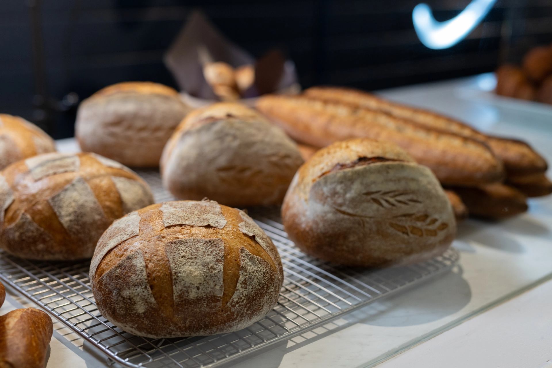 Fresh-baked sourdough sitting on a cooling rack at an Alberta bakery.