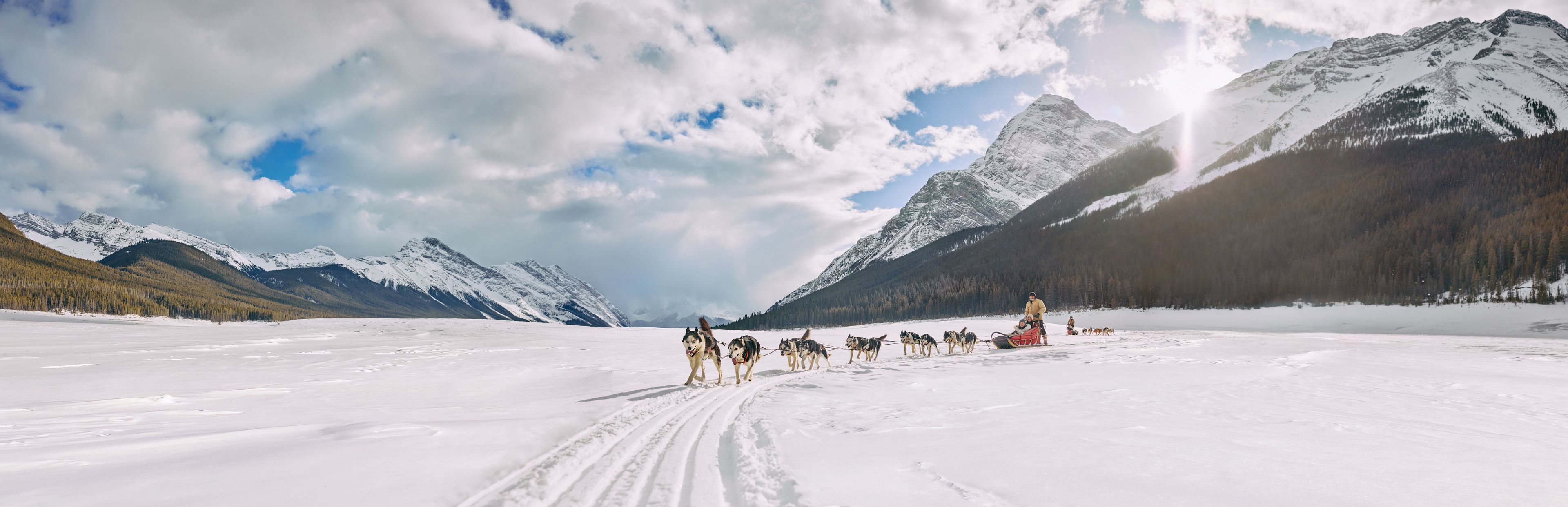 Dog sledding across a snow-covered frozen lake in Alberta's Canadian Rockies.