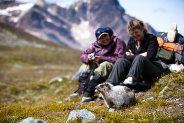 A marmot and hikers sitting in a mountain valley.