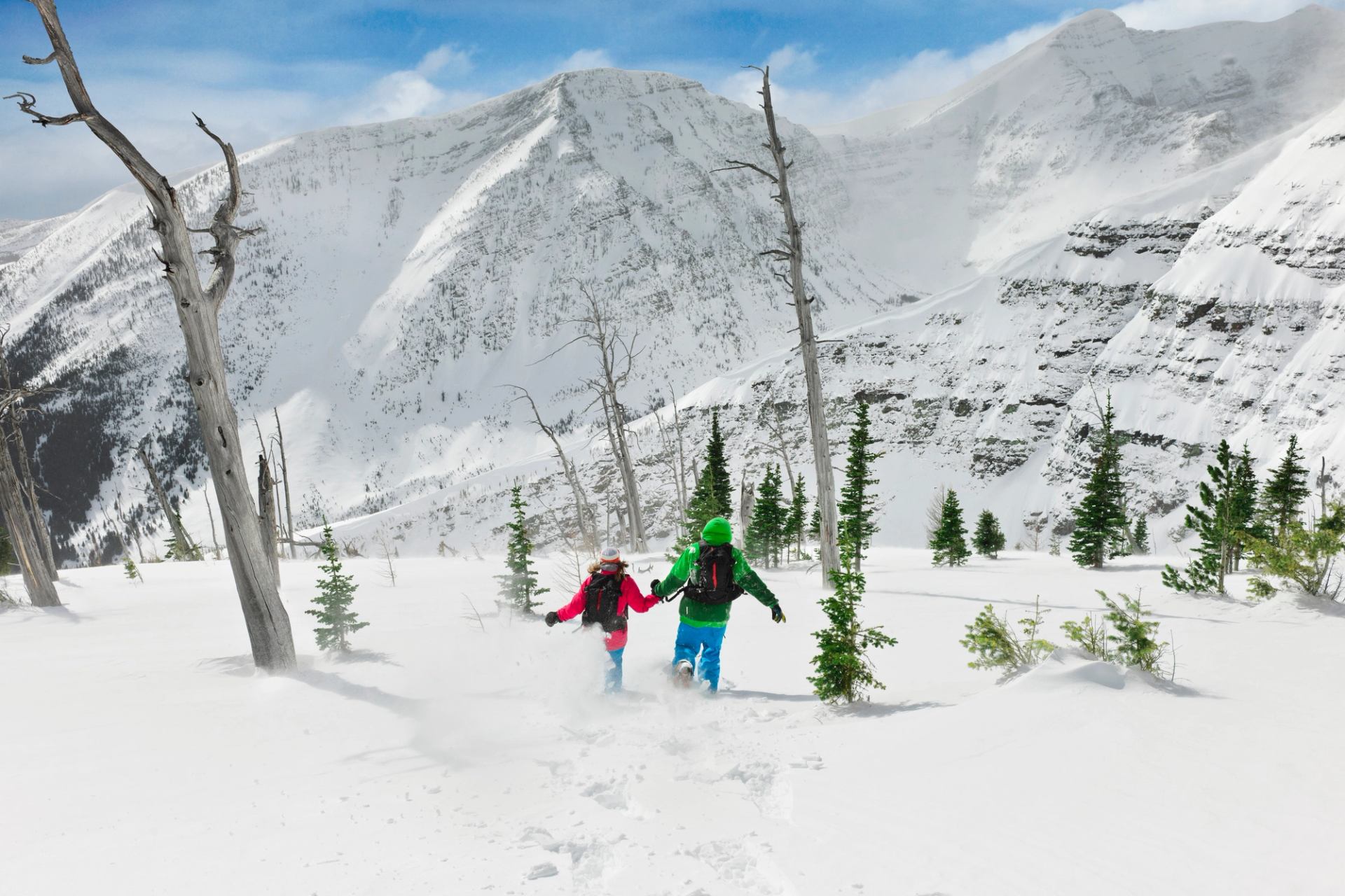 Two people holding hands snowshoeing with trees and mountains.