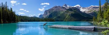 A woman dives off a dock into Fisherman's Bay at Maligne Lake in Jasper National Park.