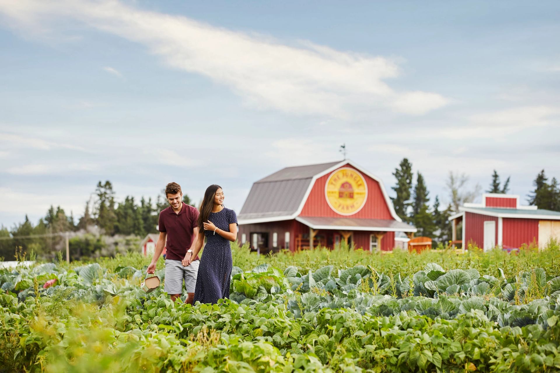 A couple walk through a green field at The Jungle Farm.
