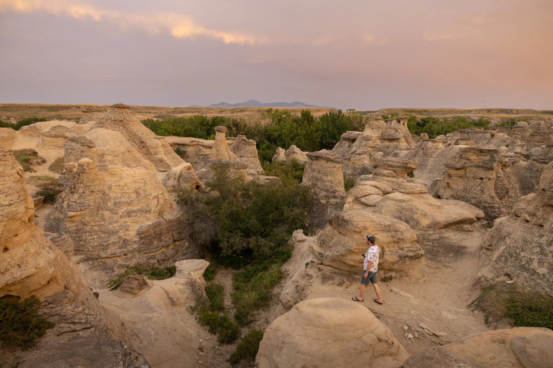 Man walking through the hoodoos at Writing-on-Stone Campground in Writing-on-Stone Provincial Park.