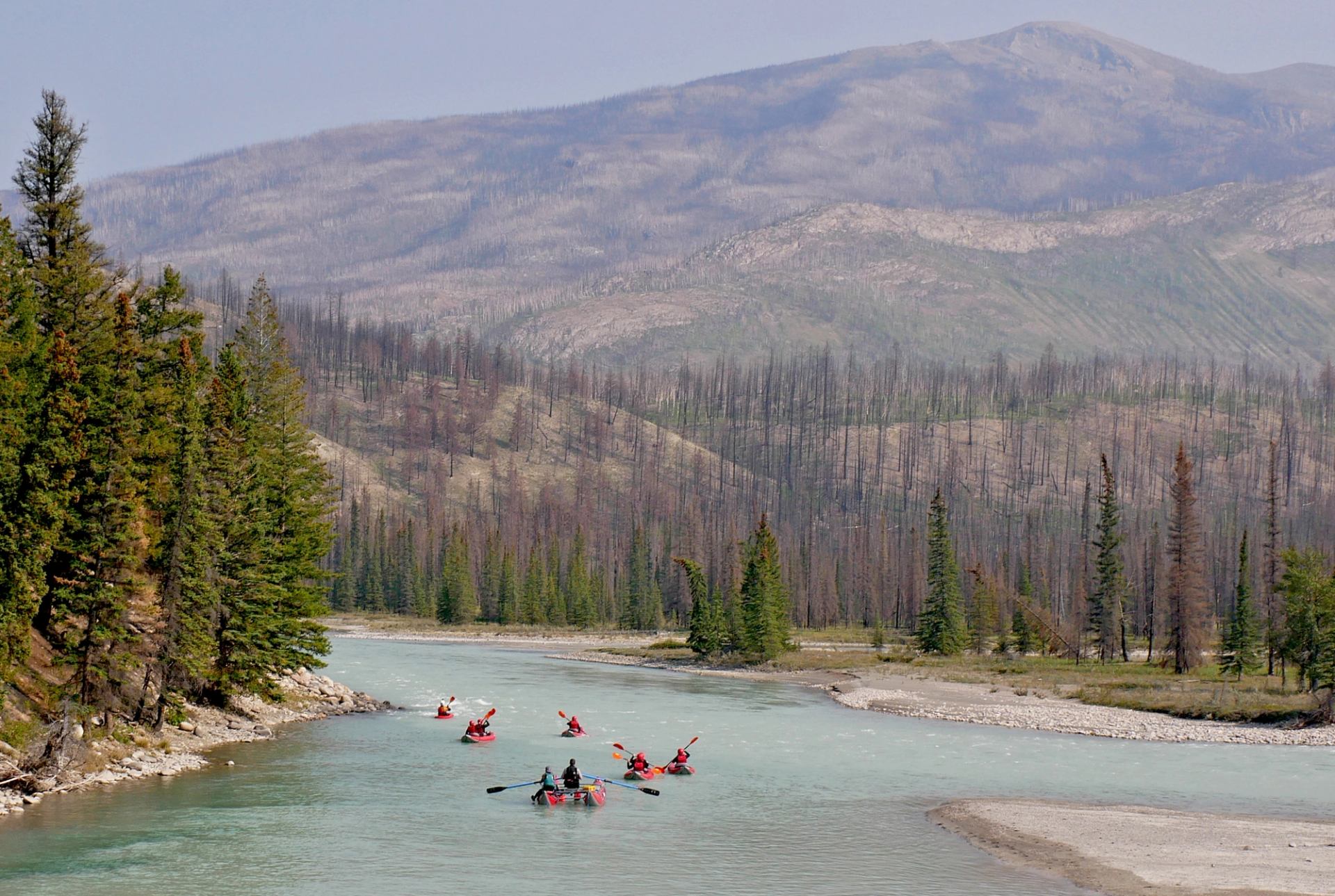 Paddlers in inflatable kayaks float down a gentle section of the Athabasca River with a forest and small mountain in the distance.