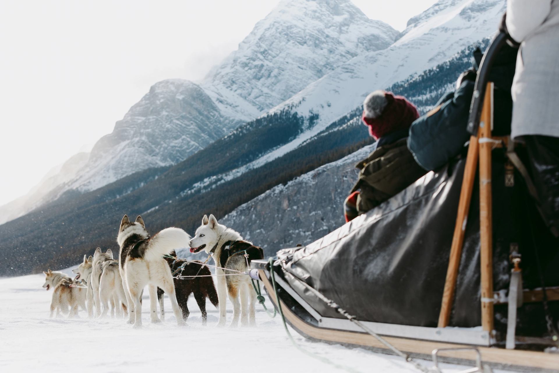 A ground level perspective as a dog sledding tour crosses a frozen lake with mountains in the background.