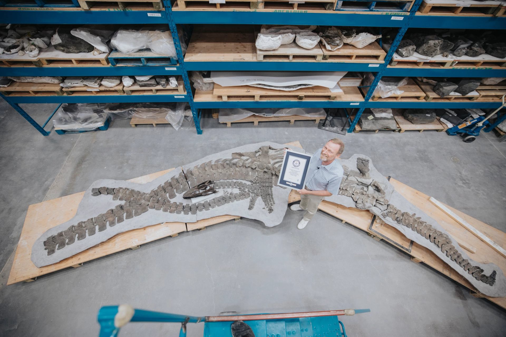 A man stands beside the fossil of a dinosaur holding a framed Guinness World Records certificate