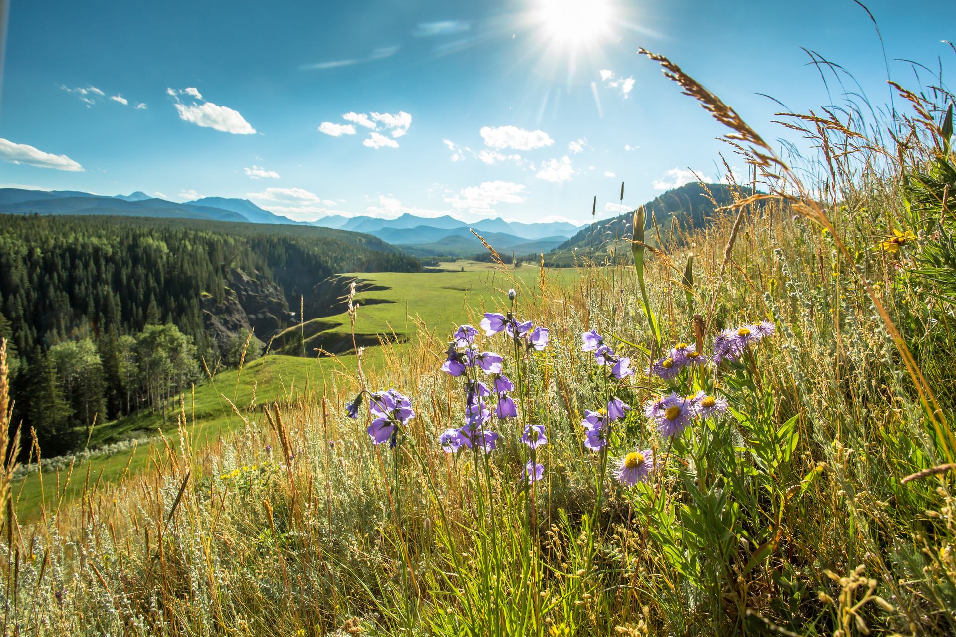 Spring Hiking in Alberta 