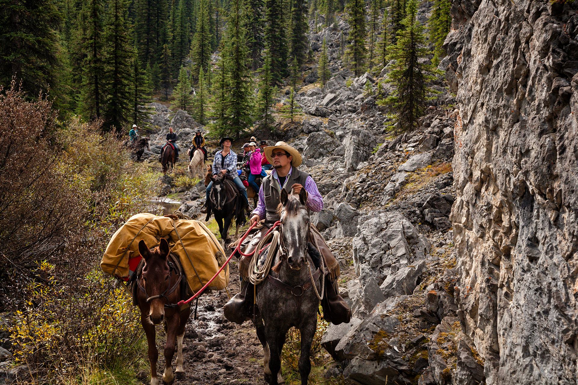 A tour group on horseback riding through a rocky canyon in Banff National Park.