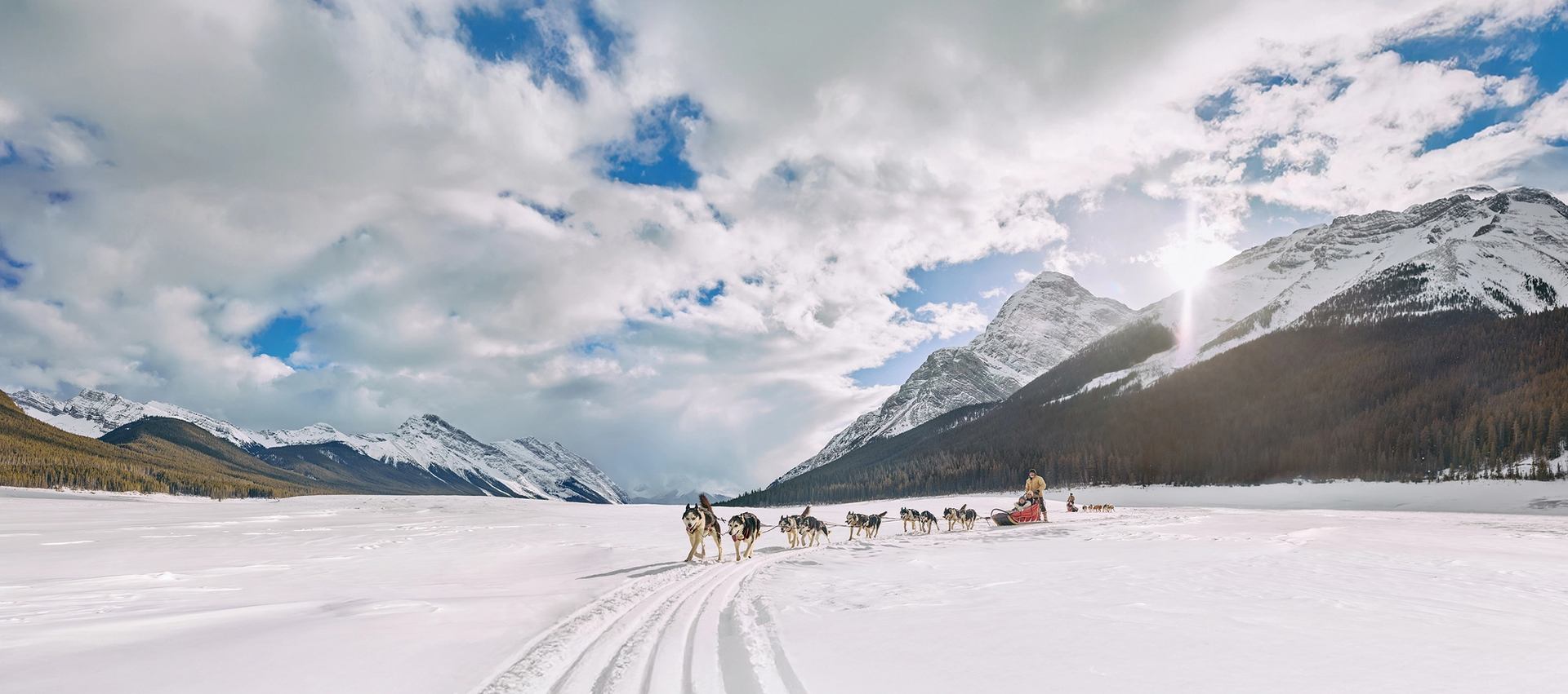 A group of people dog sledding in Spray Lakes, Kananaskis