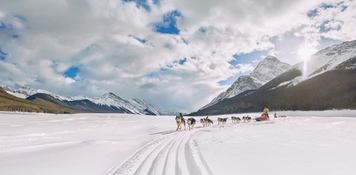Dog sledding