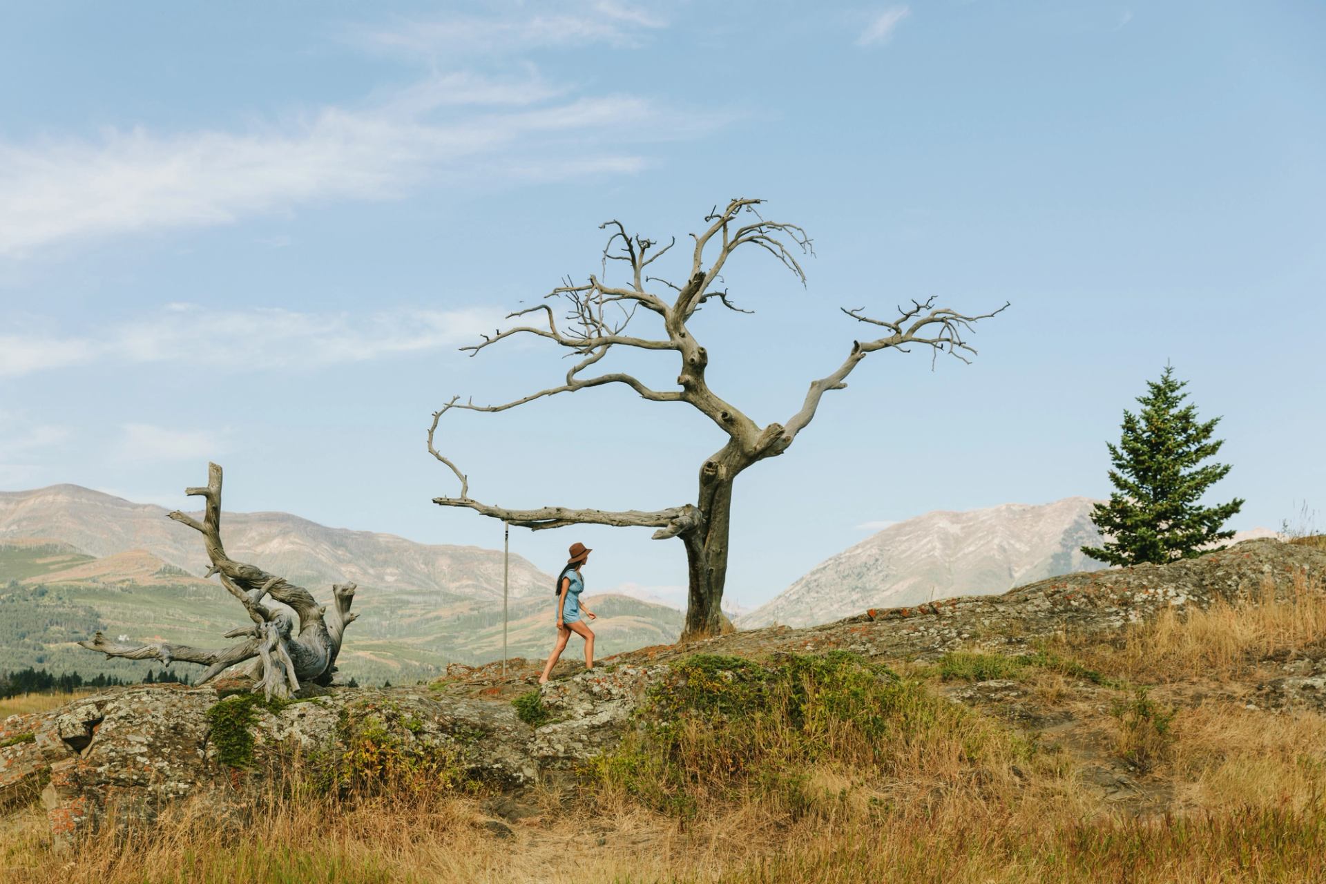 A woman walks near the Burmis Tree in Crowsnest Pass.