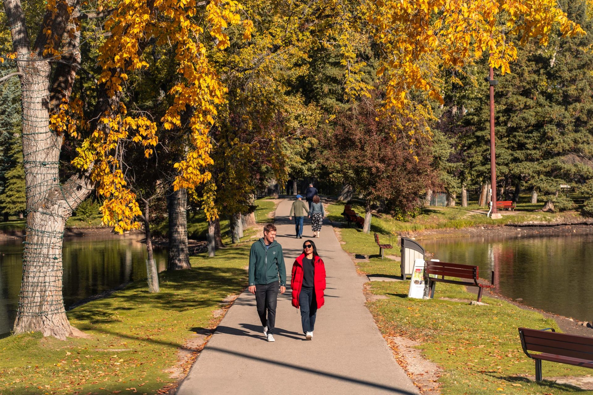 People walk the paved path between the river and lagoon at Bowness Park with trees adorned with yellow leaves