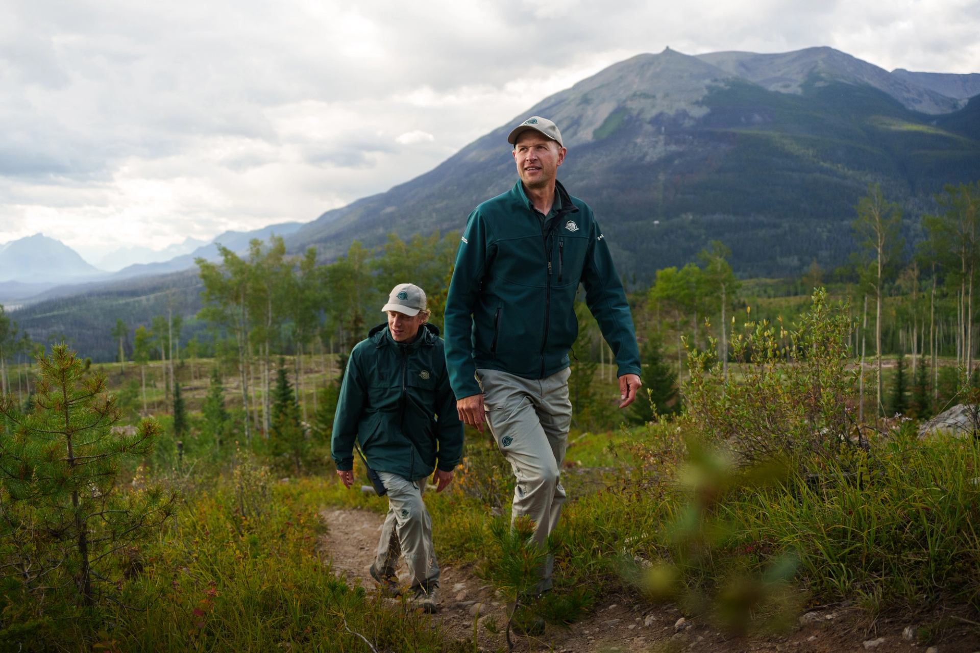 Parks Canada employees walk through brush and young evergreens in Jasper with mountains in the distance.